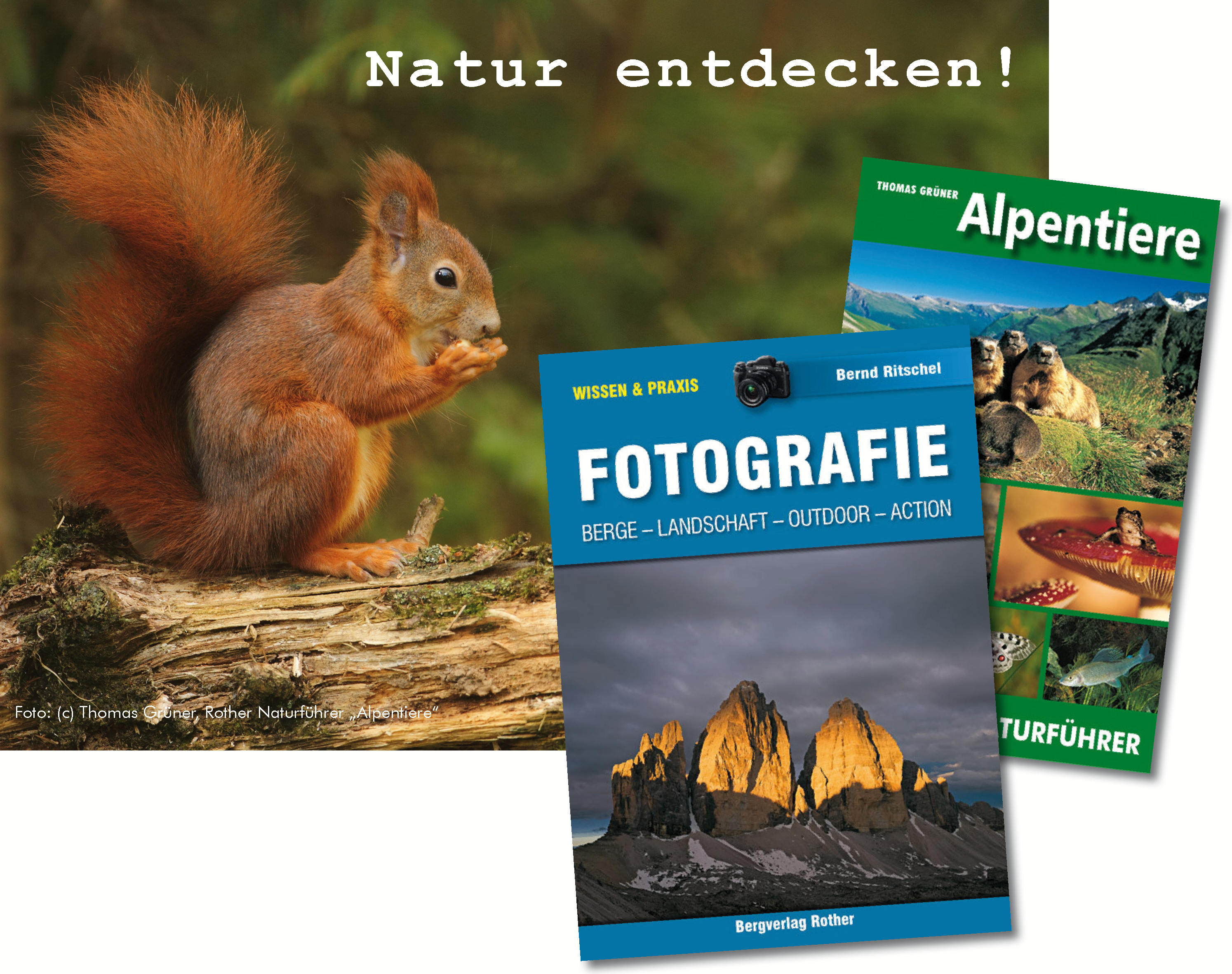 Natur entdecken_Bild