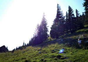 NATURKINDER_rother_05