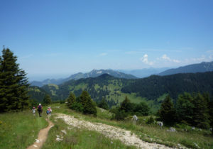 NATURKINDER_rother_07