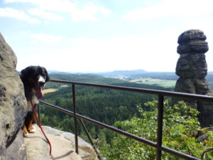 Barbarine mit Vreni. Mit Hund in der Sächsischen Schweiz - Wandern auf dem Malerweg.