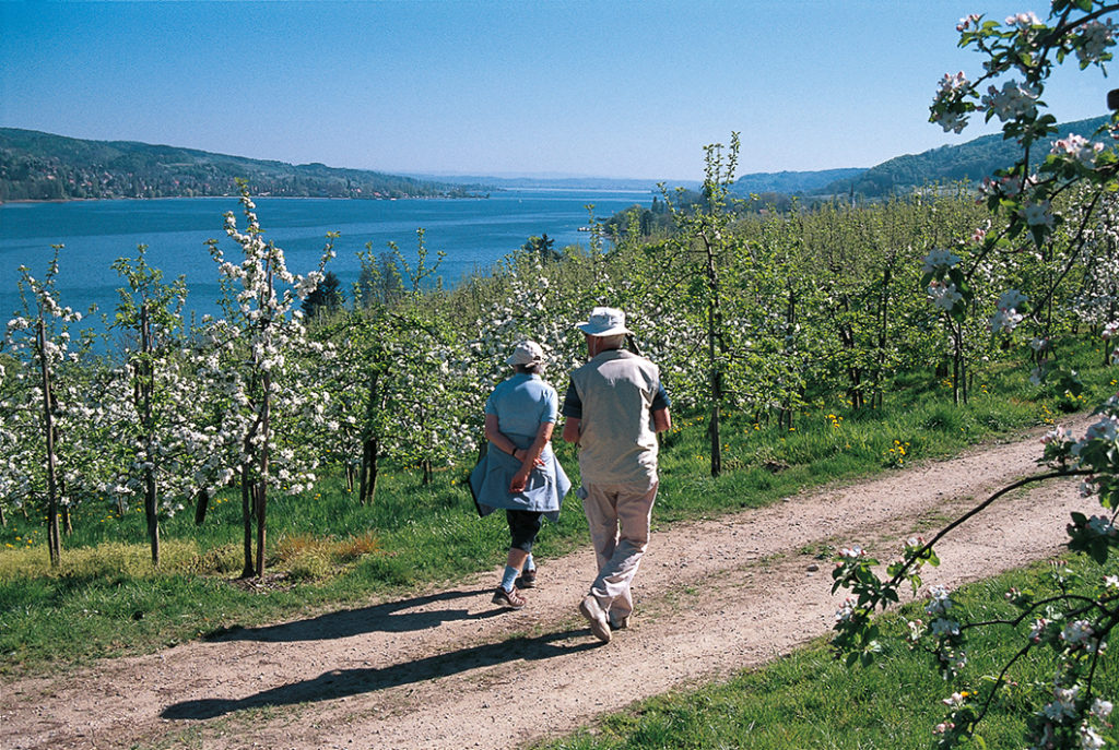 Foto aus dem Rother Wanderführer »Bodensee Süd«. Copyright: Herbert Mayr