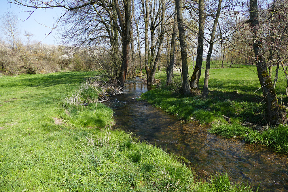 Bachlauf © Daniela Knor und Torsten Bieder, Rother Wanderführer »Rhön«