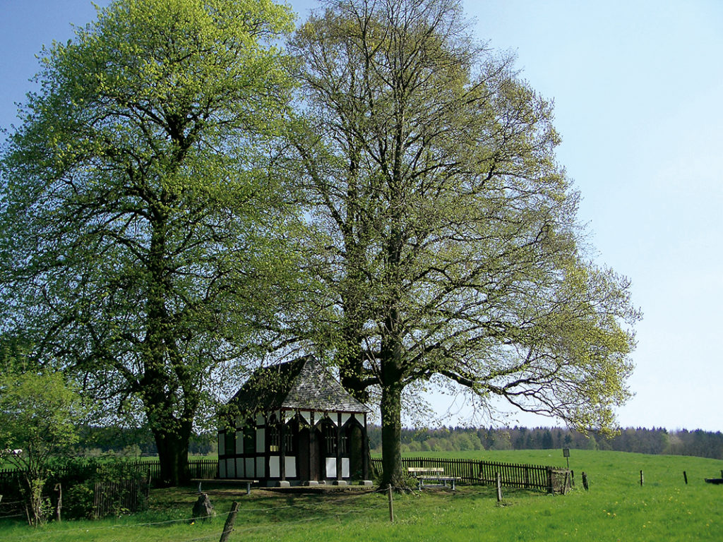 Rochuskapelle im Frühjahr © Sabine Keller und Benno F. Zimmermann