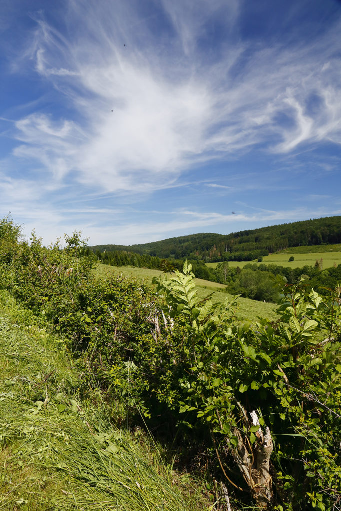 Natur pur © Mark Zahel