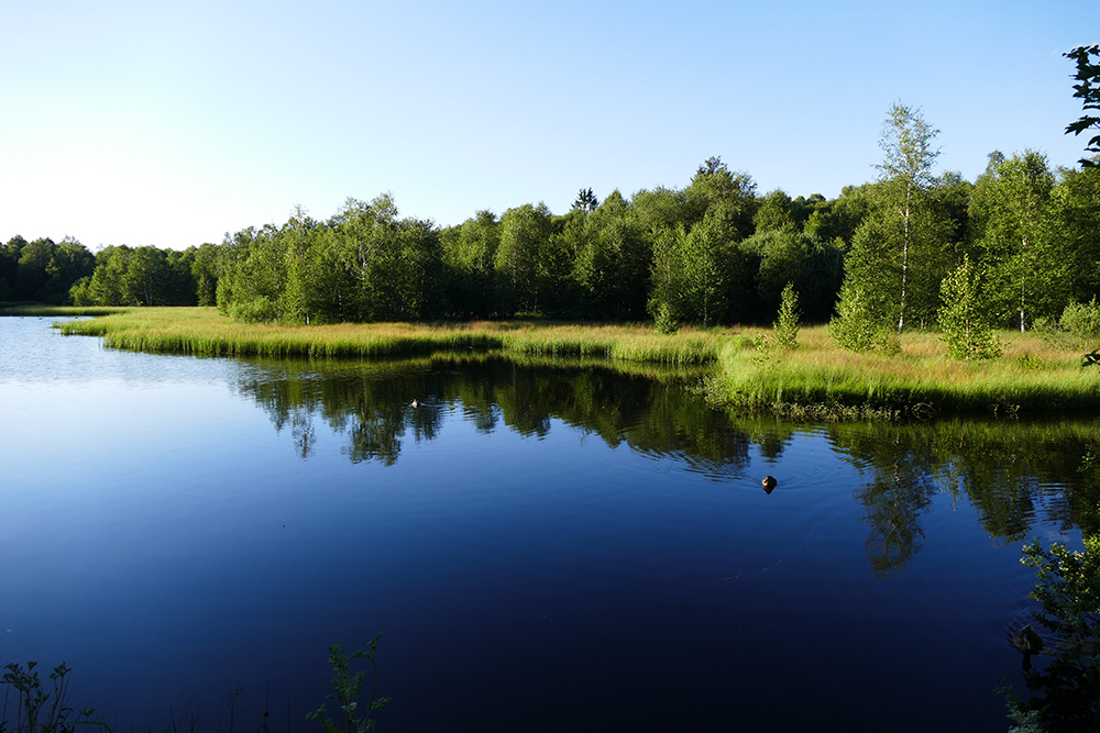 Rhön-Idylle © Daniela Knor und Torsten Bieder, Rother Wanderführer »Rhön«