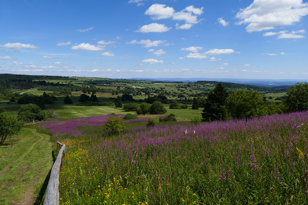 Rhön Ruhige Wandergebiete in Deutschland: Rhön