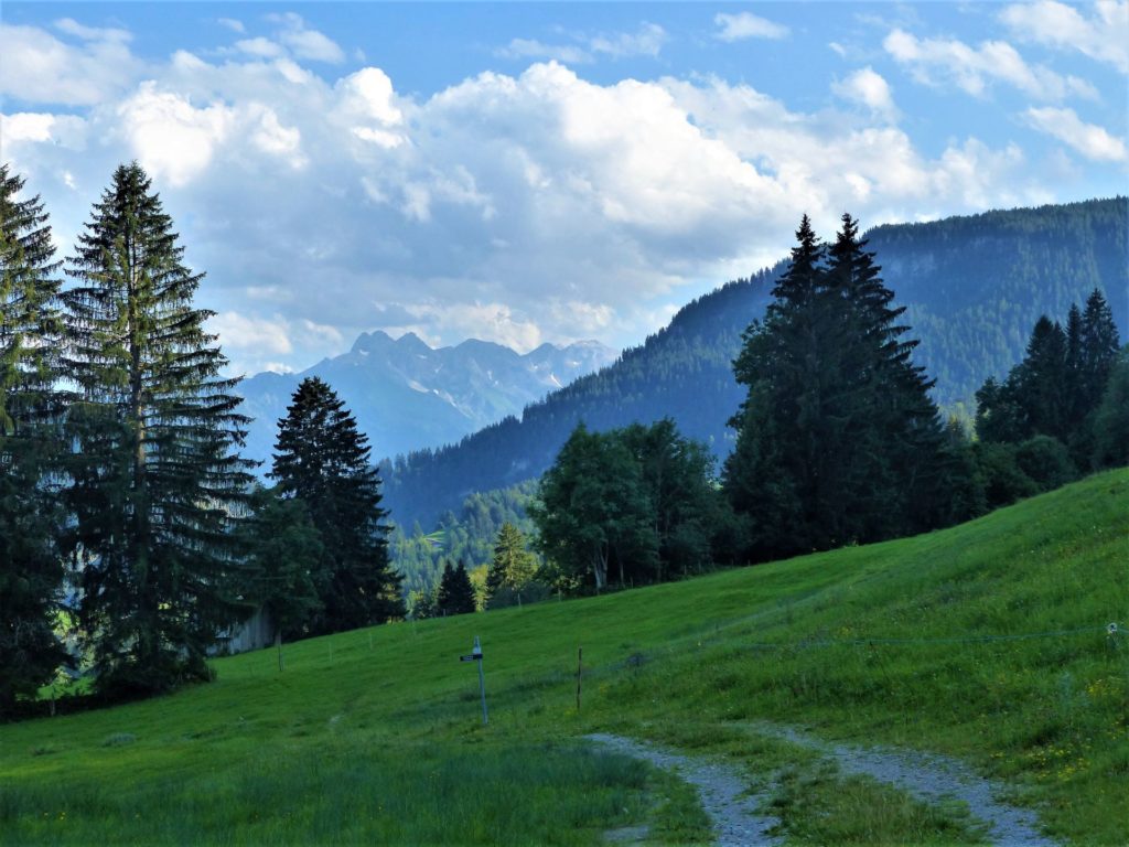 Abendstimmung in den Hörnerdörfern, Allgäu ©Foto: Maximilian Kress