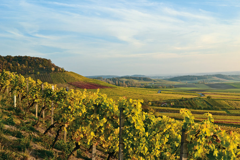 Herbstwanderungen in Deutschland - Genusstour in Franken