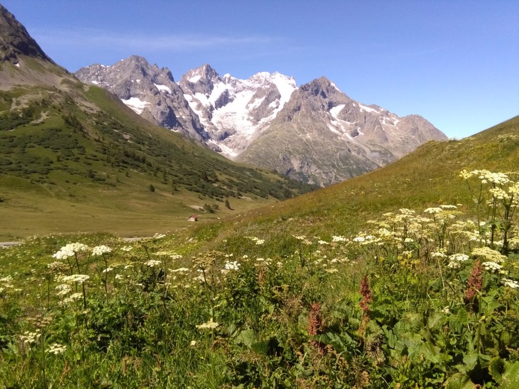 Kurz vor dem Ausgangspunkt zur Grande Ruine, Blcik auf Meije, Dauphiné, Nationalpark Écrins, Französische Alpen, Hochtour