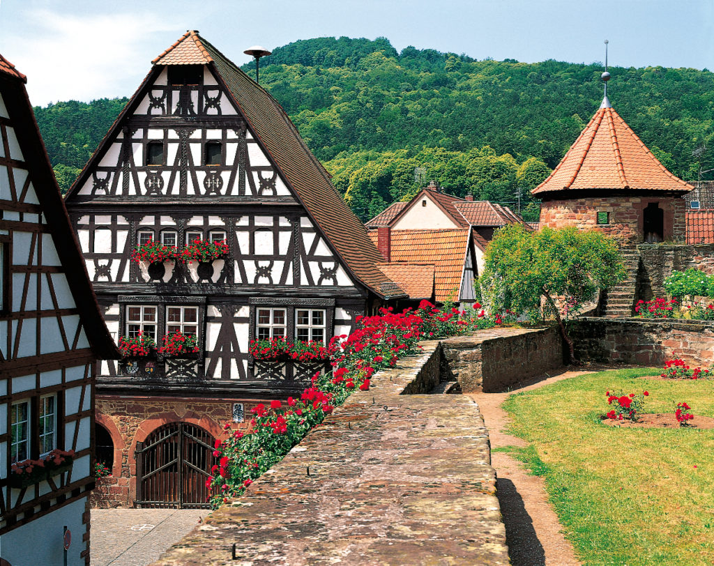 Herbstwanderung Pfalz