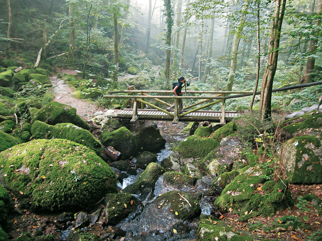 Herbstwanderungen in Deutschland: Schwarzwald