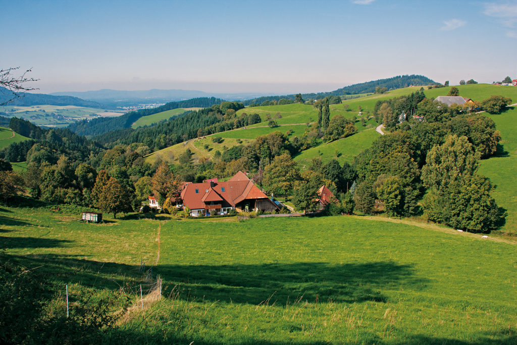 Herbstwanderungen in Deutschland Schwarzwald Schauinsland