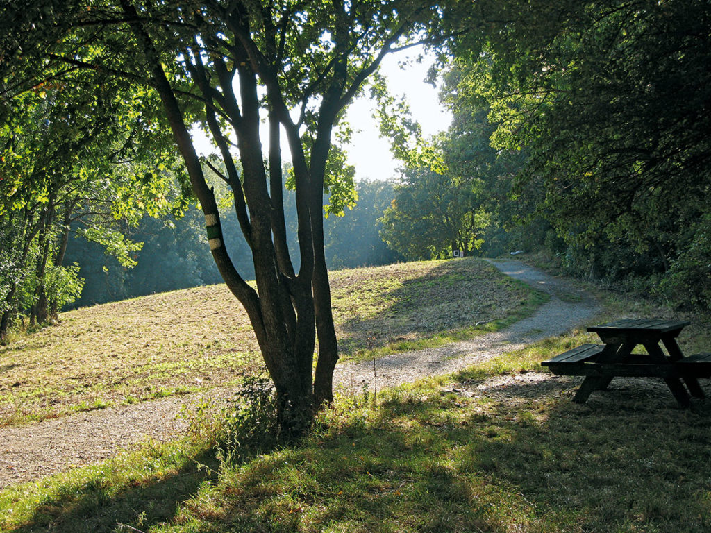 Auf den Hermannskogel Wien©Fritz Peterka