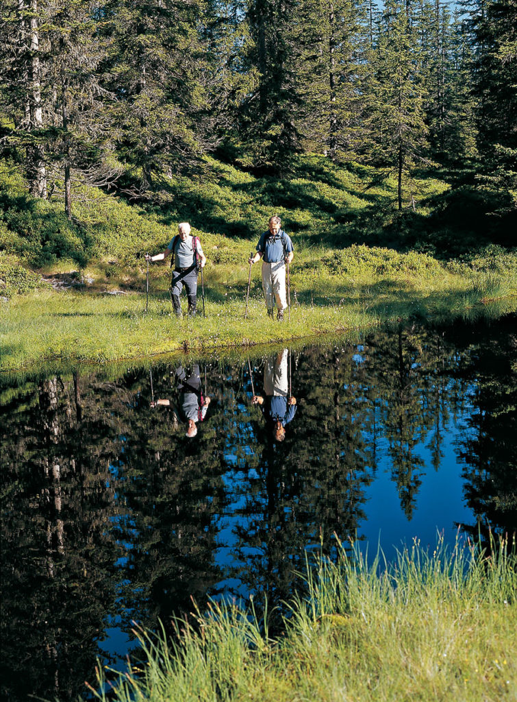 Horler Stiege aufs Feldalphorn©Foto: Sepp und Marc Brandl