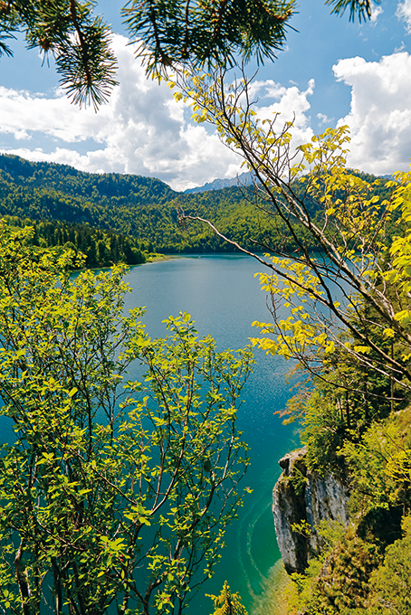 Blick auf den Alpsee: Beispieltour »Neuschwanstein – Alpsee«