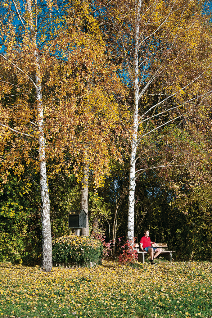 Rastplatz im Sempttal©Joachim Burghardt