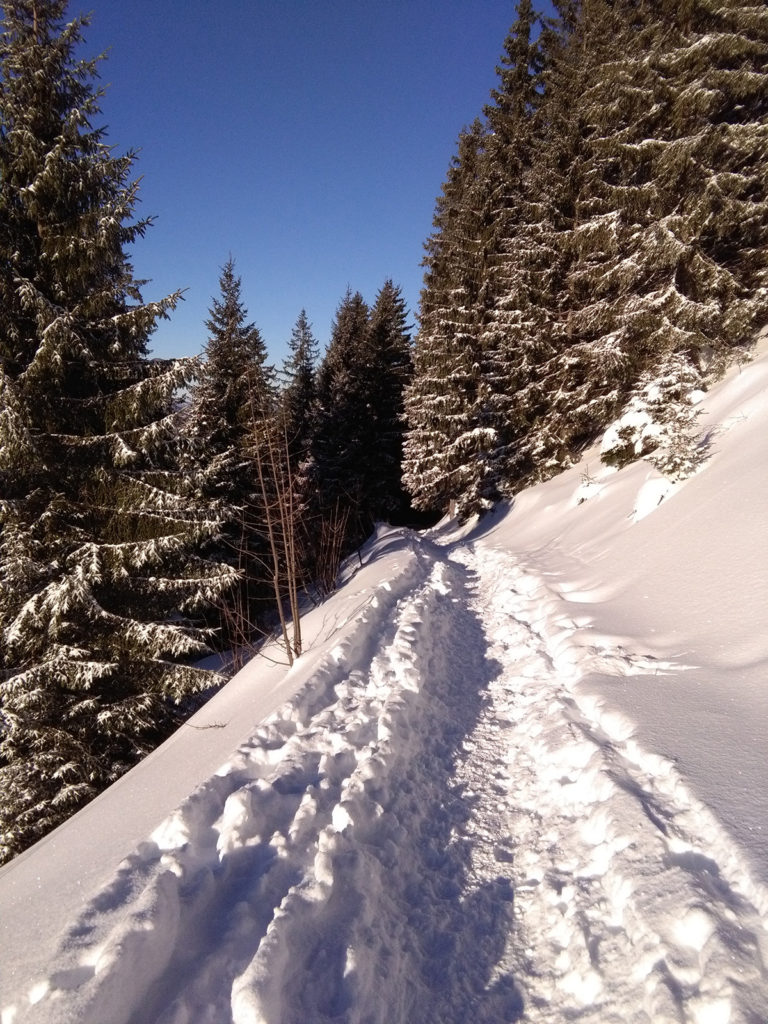 Winterwanderweg Wallberg (c) Gesine Geister
