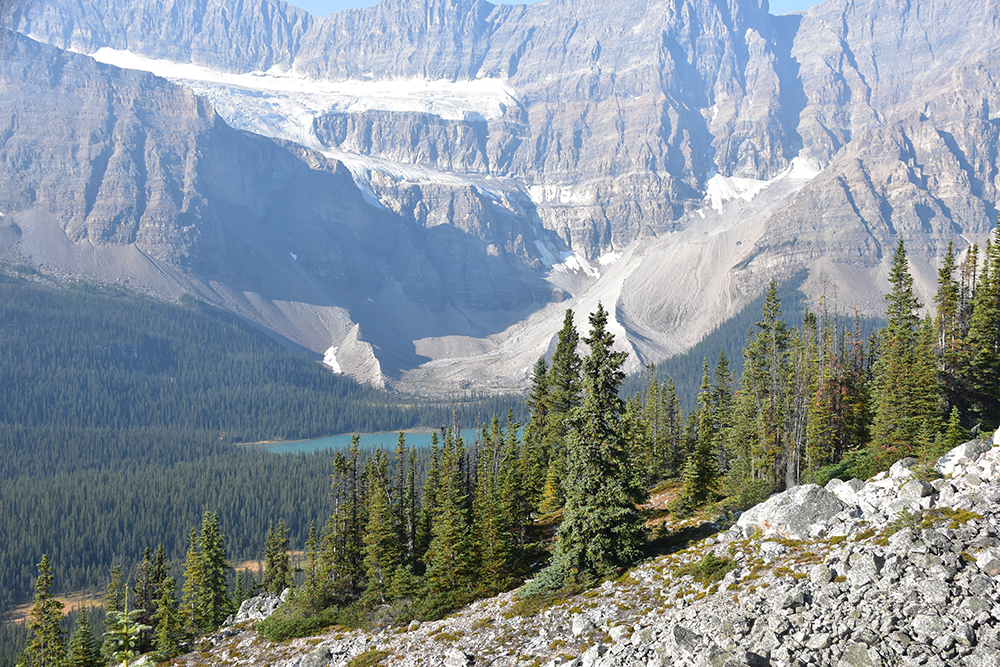 Aufstieg zum Aussichtspunkt mit Blick auf den Crowfoot Glacier. ©: V. Schmidt