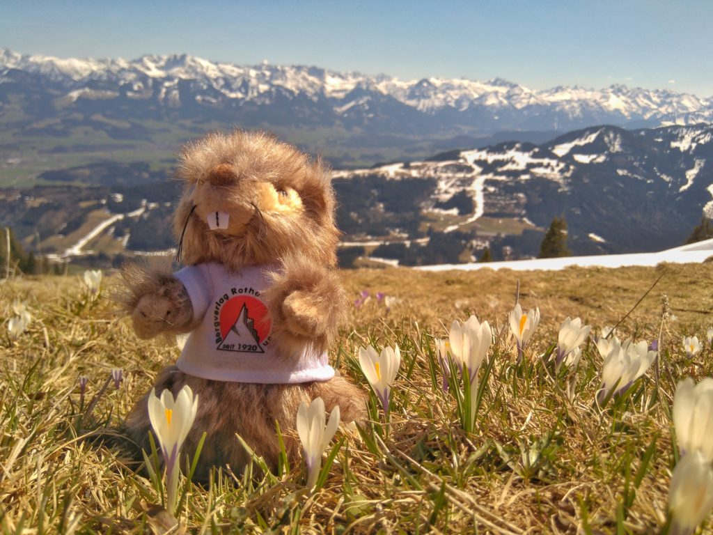 Unser Rothi – in der Blüte seiner Jahre – versteckt sich zu Ostern stets recht ungeschickt hinter sprießenden Krokussen.