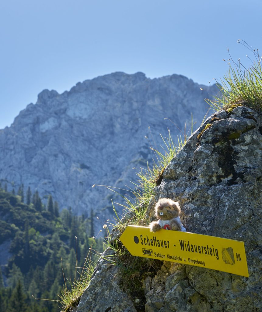 Kein Verhauer am Scheffauer – unser Maskottchen Rothi übt sich als Wegweiser im Wilden Kaiser. Foto ©: Philipp Irber