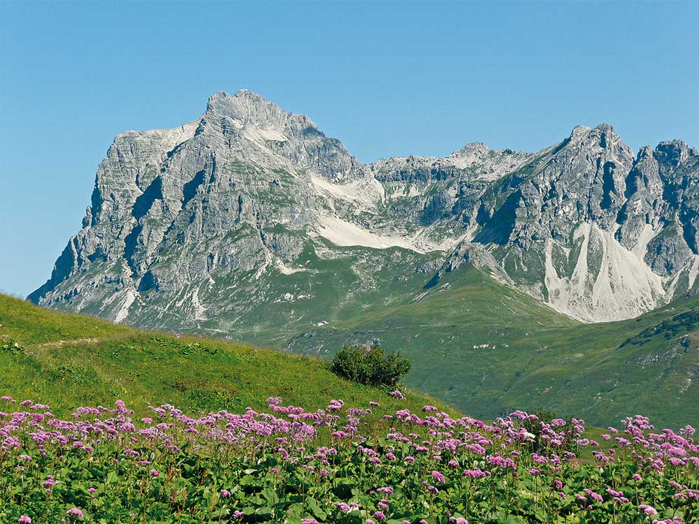 Ausblick auf die Allgäuer Alpen, Widderstein. Foto ©: Jürgen Plogmann