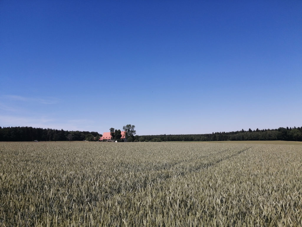 Weitwandern nonstop auf dem Querweg im Schwarzwald. Foto (c) Matthias Schopp