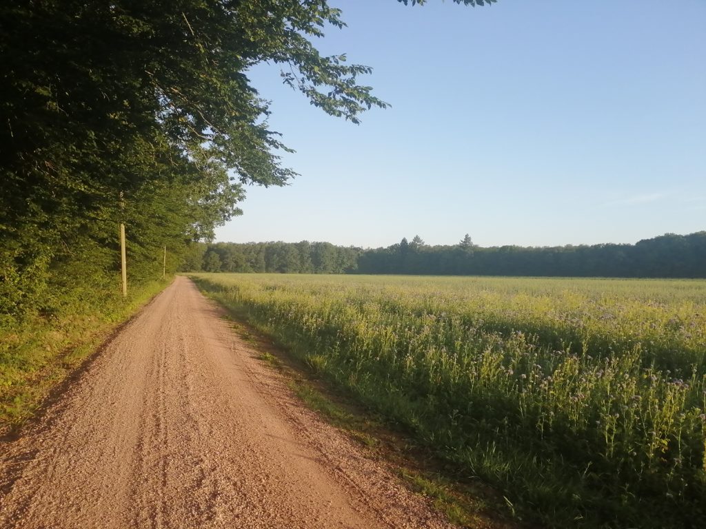 Weitwandern nonstop auf dem Querweg im Schwarzwald. Foto (c) Matthias Schopp