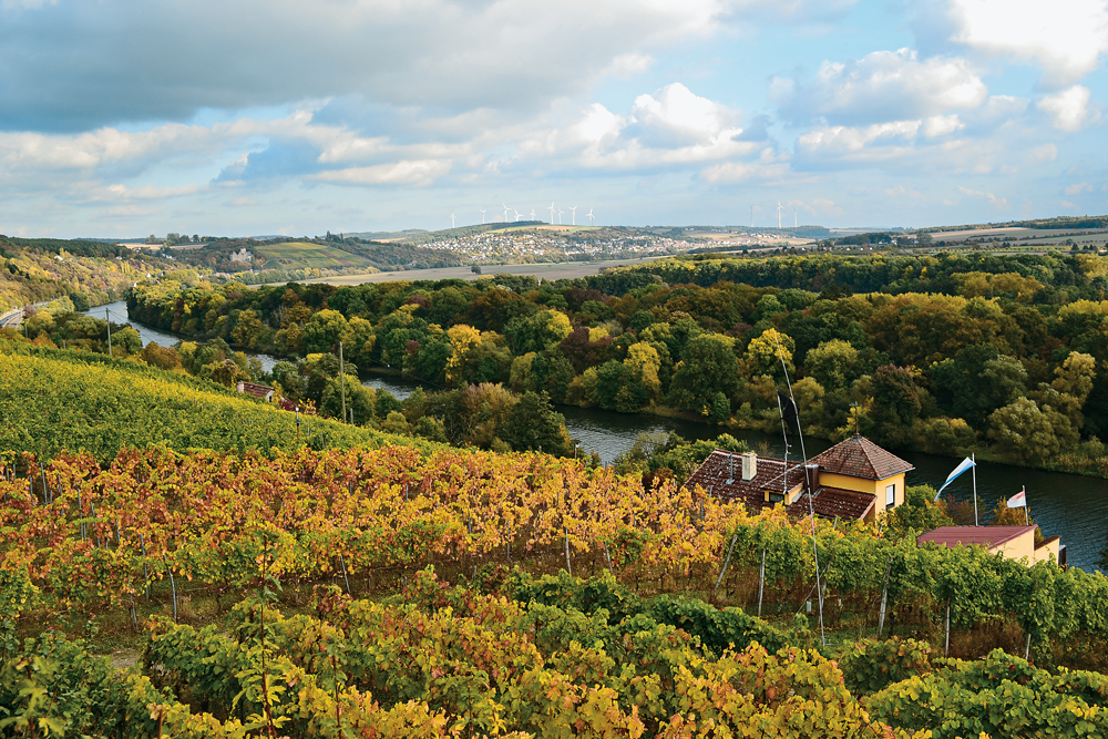 Blick vom Beerenhüterturm über die herbstlichen Weinhänge. Foto aus dem Rother Wanderbuch »Weinwandern Fränkisches Weinland«
