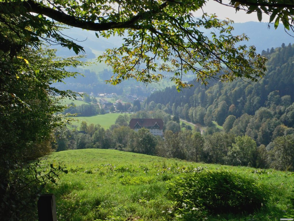 Blick hinab zur »Schwarzwaldklinik«