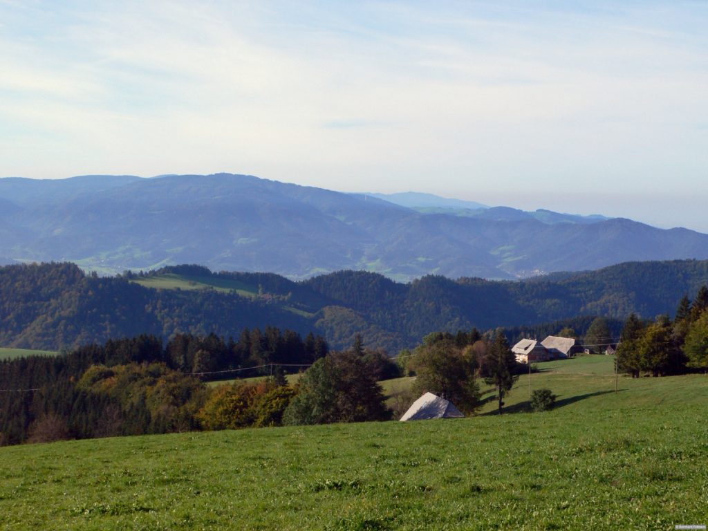 Blick vom Kandelberg zum Rosskopf. Aus dem Rother Wanderführer »Schwarzwald Nord«