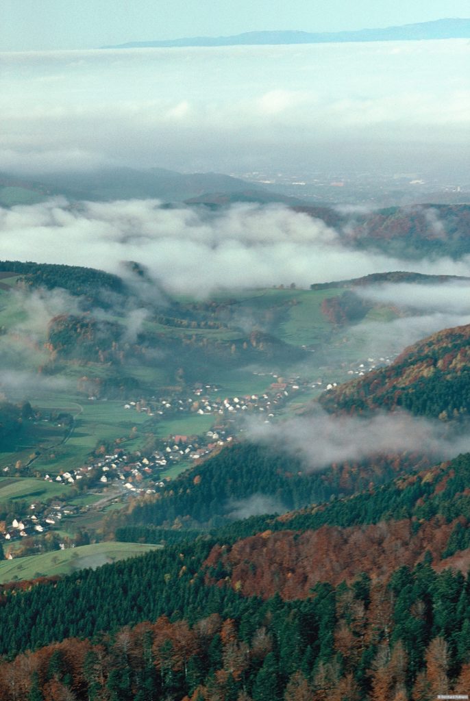 Blick von der Thomashütte ins Glottertal