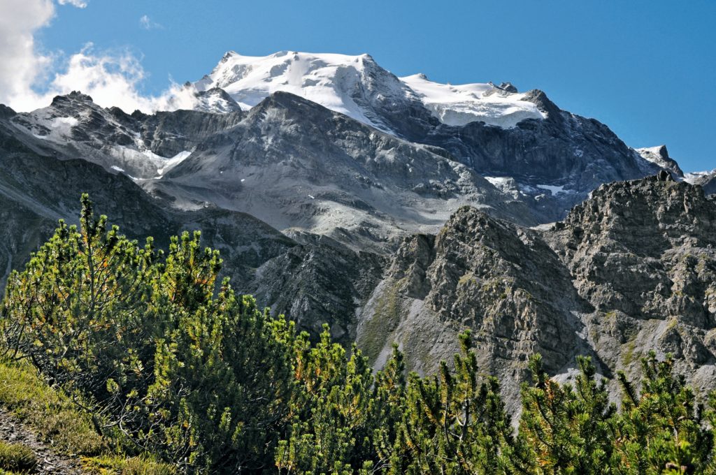 Blick auf den majestätischen Ortler in Etappe 17. Foto: Bettina Forst