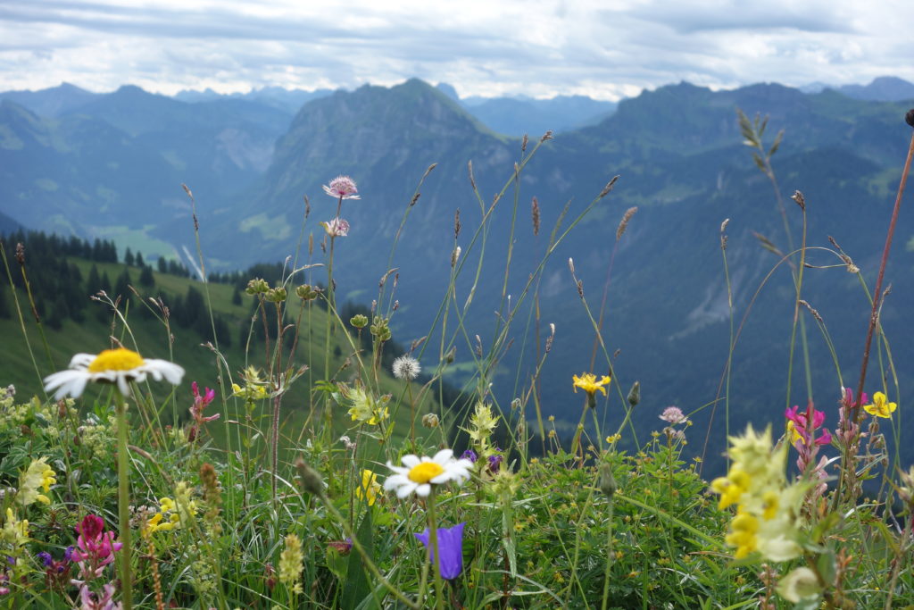 Unterwegs im Bregenzerwald. Foto: Bettina Forst