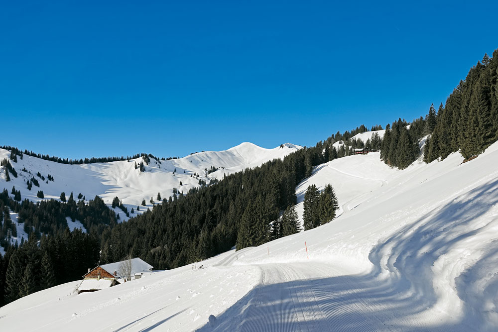 Zwischenabstieg zur Alpe Hinteregg. Foto Copyright: Ulf Streubel und Matthias Schopp