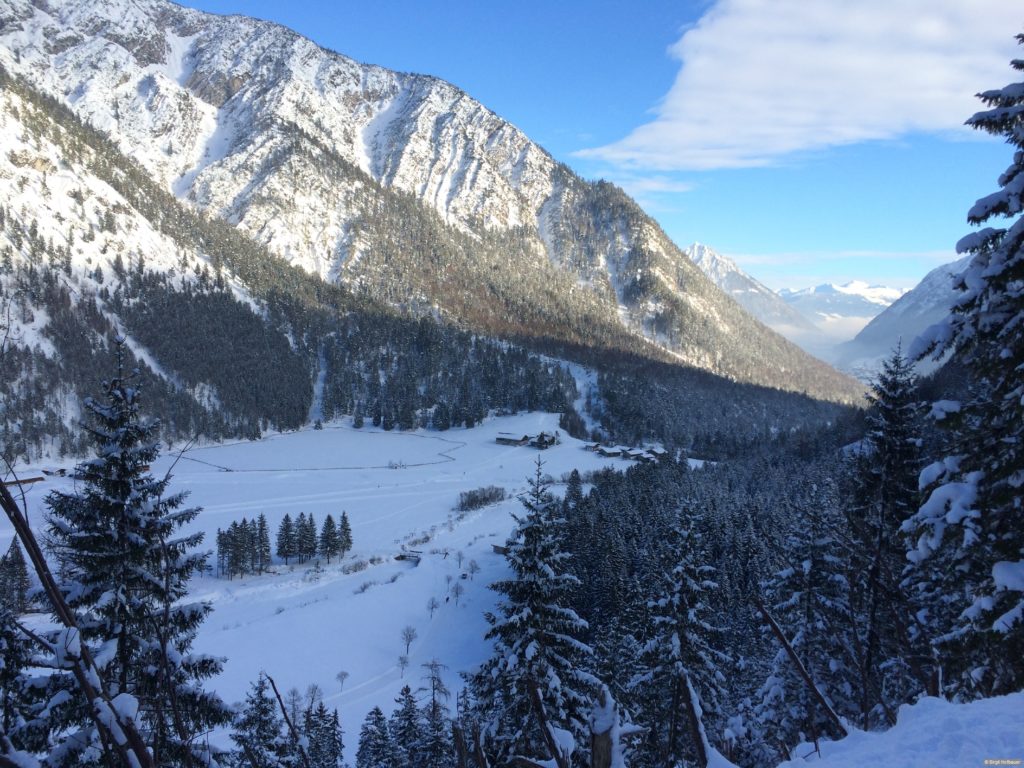 Aufstieg zur Feilalm. Foto: Birgit Hofbauer