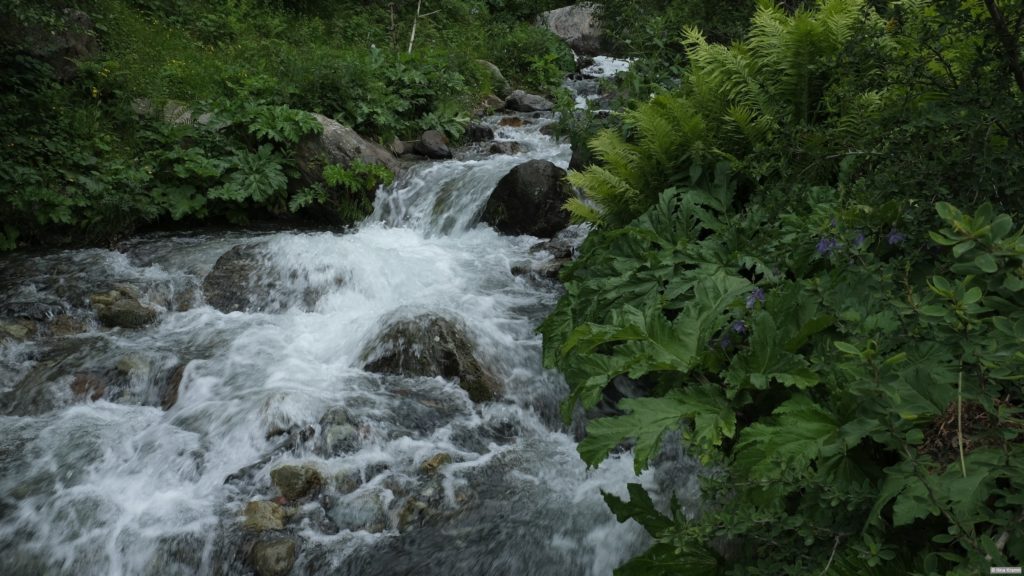 Rauschender Bach auf dem Weg zum großen Gveleti Wasserfall. Foto: Nina Kramm