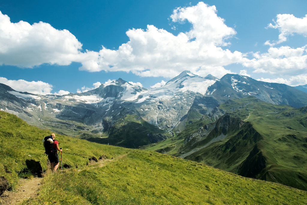 Panoramablick: Olperer mit Tuxer Ferner, Gefrorene-Wand-Spitzen und Friesenbergscharte. © Steuerwald, Baur, Biehl