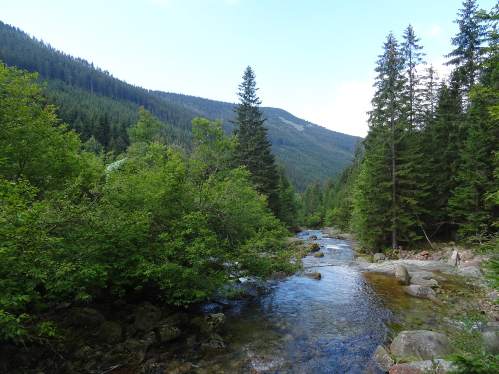 Einzigartige Naturkulisse im Nationalpark Riesengebirge. Foto ©: Franziska Rößner, Kaj Kinzel