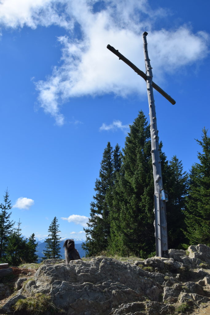 Nea hat den Gipfel des Edelsberg als erste erreicht! 
Foto: P. Knobling