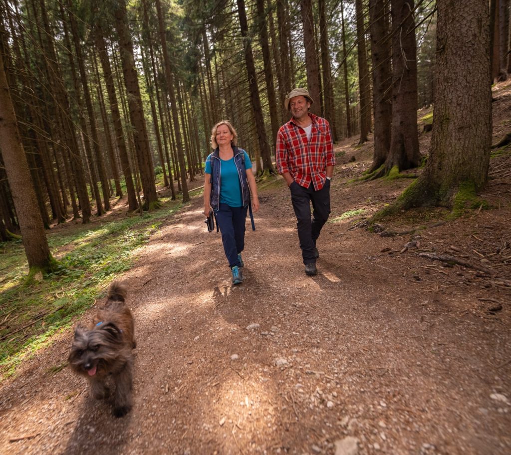 Entspannung für Hund und Mensch auf einsamen Waldpfaden. Foto: André Goerschel