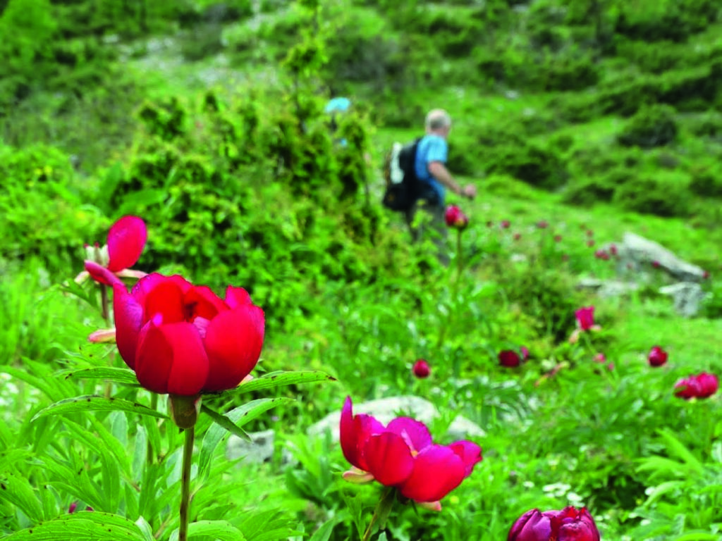 Unterwegs im ursprünglichen Zagoria Tal in Albaniens Süden.