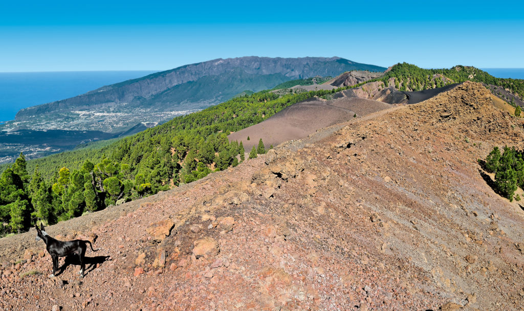 Von der Deseada überblickt man weite Teile der Vulkanroute (hinten die Caldera) - Von nun an geht es nur noch abwärts. © Klaus und Annette Wolfsperger