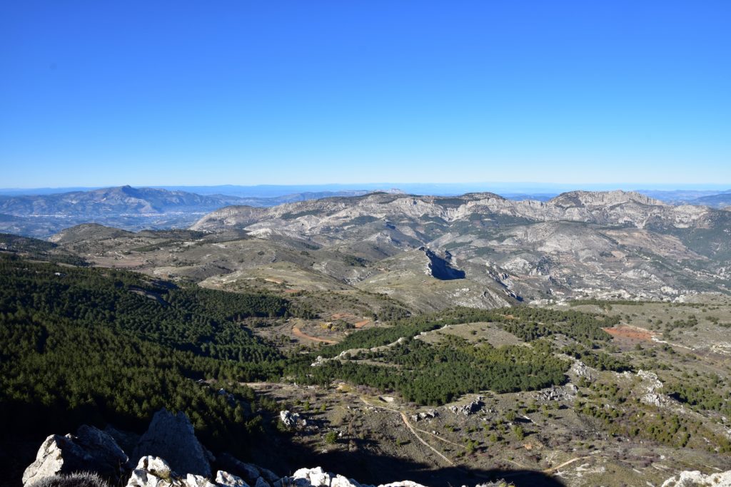 Mandelbäume vor den rauen, ungezähmten Bergen der Sierra de Aitana. © Cordula Rabe