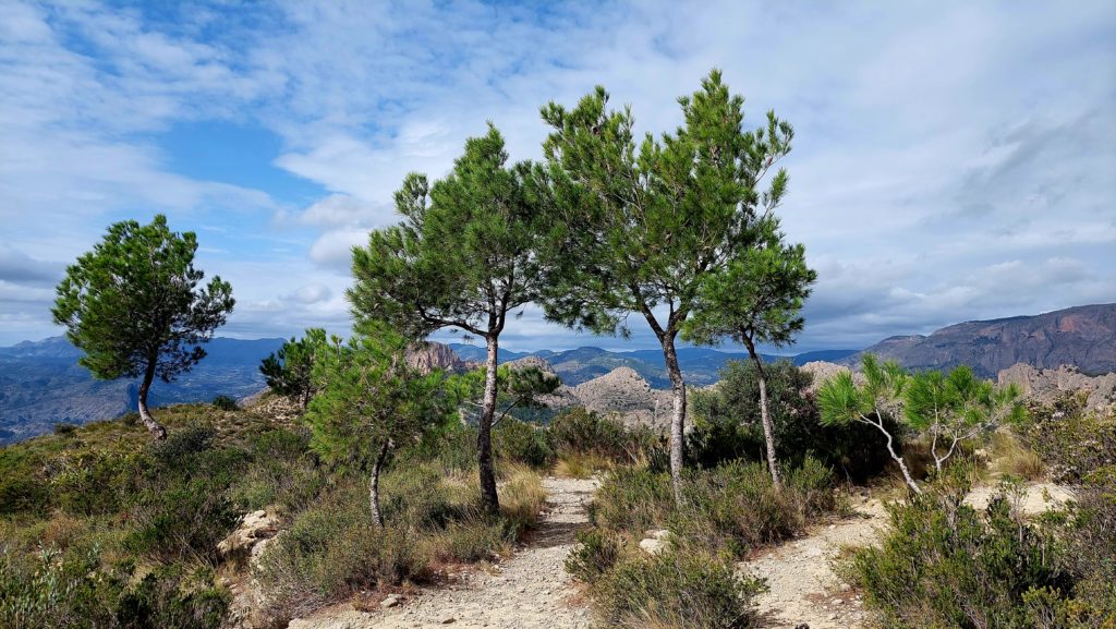 Nur wenige Kilometer von der Küste entfernt zeigt sich touristische Costa Blanca von ihrer rauen, wilden Seite. © Cordula Rabe
