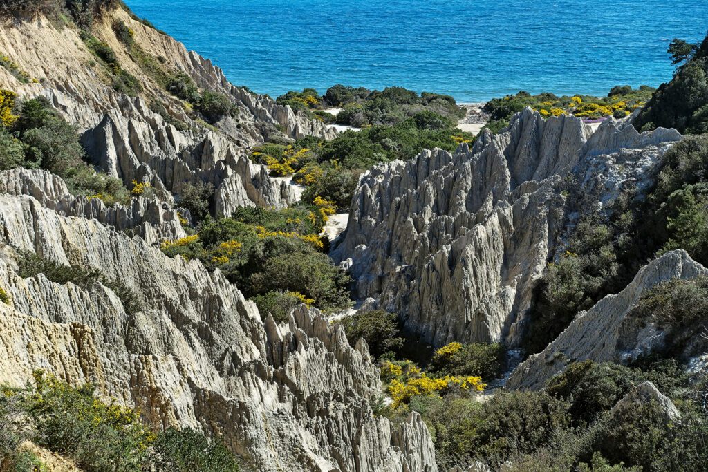 Die Clay-Schlucht vom Wanderweg aus gesehen. © Michael Will