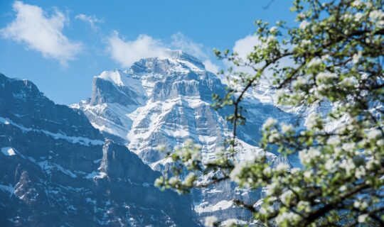 Frühling in den Bergen. © pixabay.com