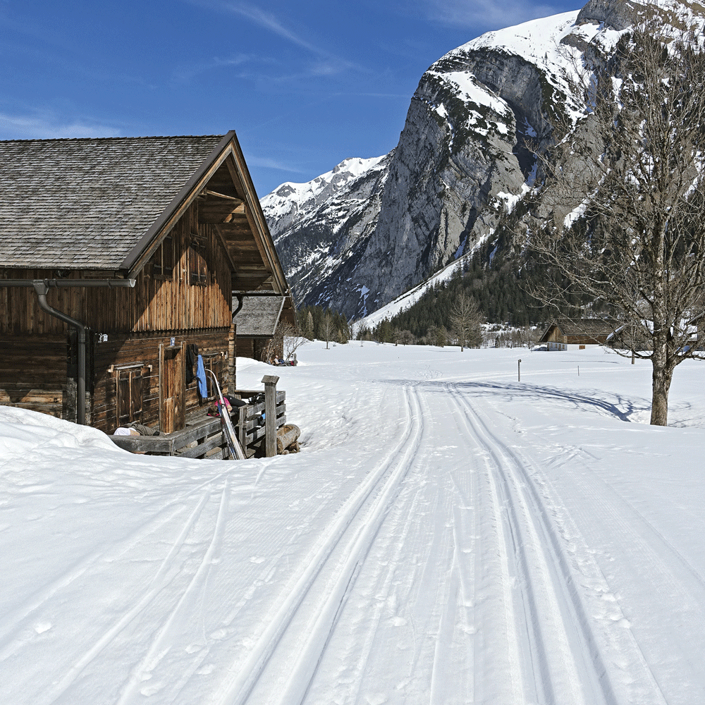 Sonneplatz zum Rasten in der Eng. Foto: G. Hirtlreiter, Ch. Rauch