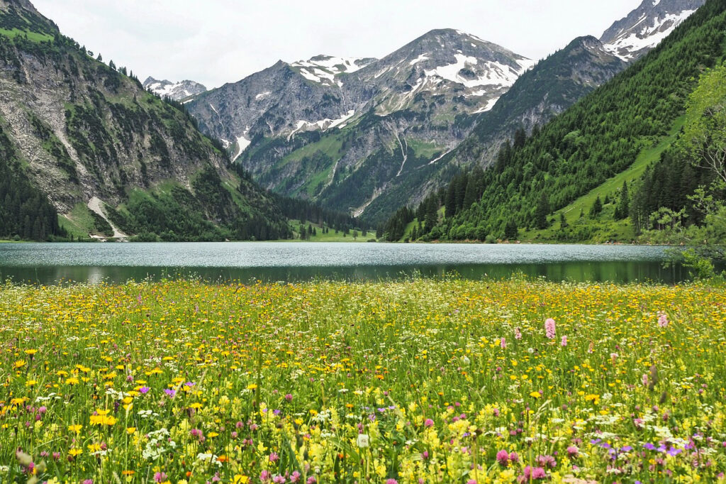 So schön ist der Frühling in den Bergen, wie hier im Allgäu. © Ralf Ruppert / pixabay