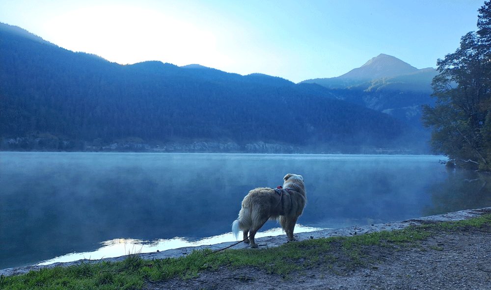 Morgenstimmung am Achensee. Foto: Sarah Effer