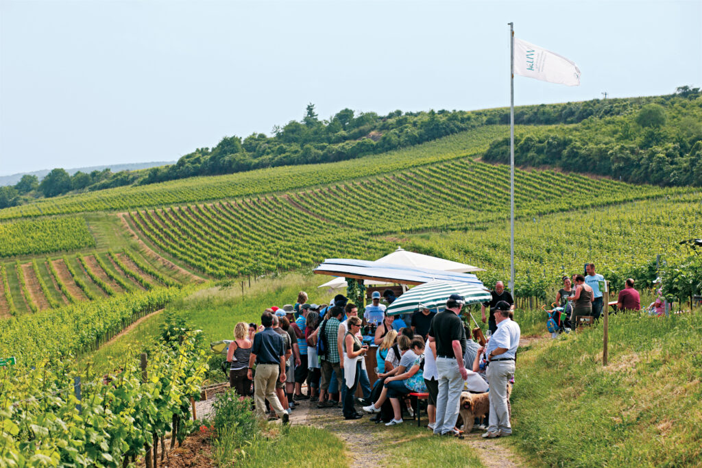 Herbst in der Pfalz - Weinbergwanderung mit Weinprobe (c) Jörg-Thomas Titz, Rother Wanderbuch Wandern & Einkehren Pfälzerwald